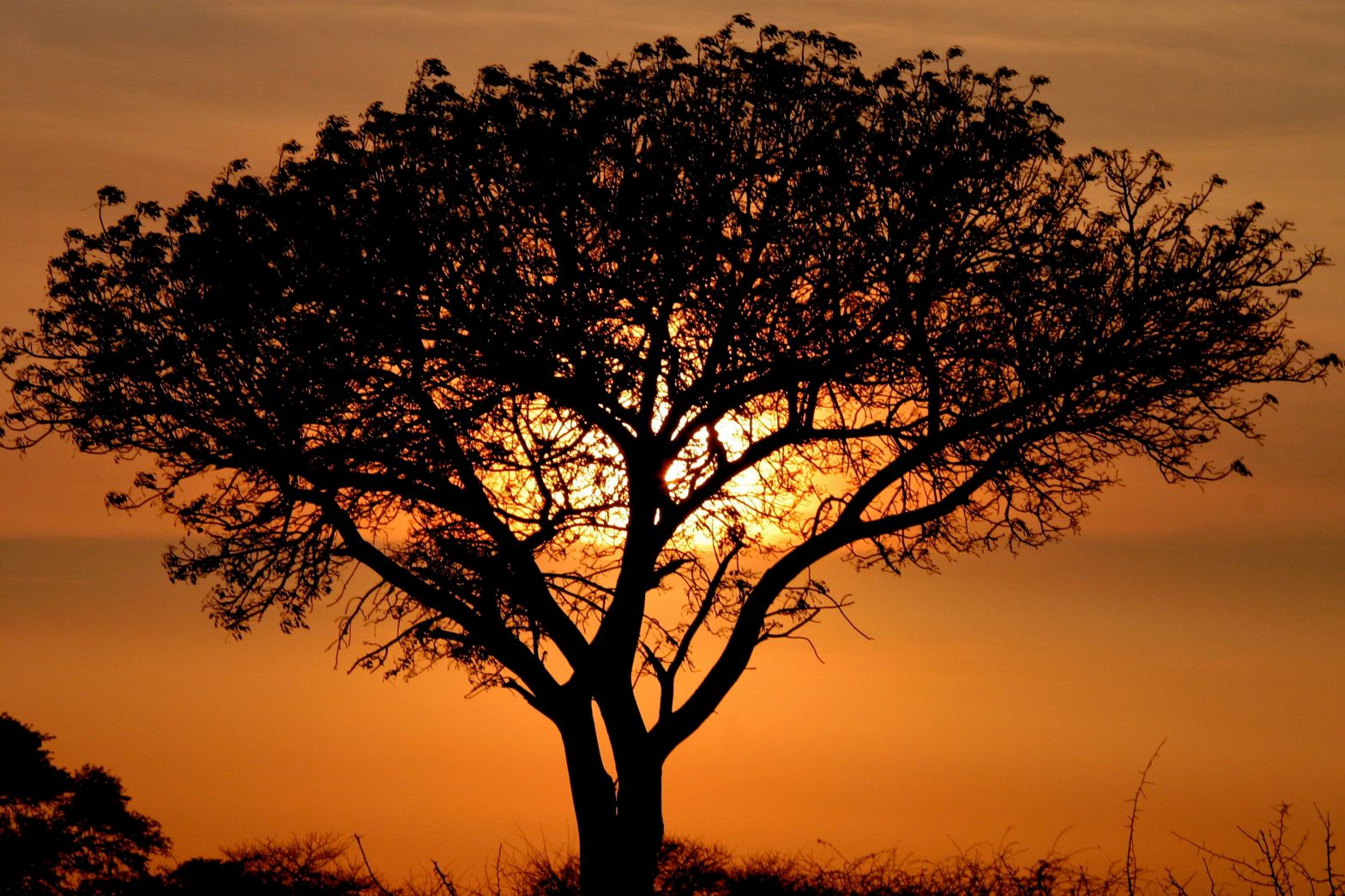 Il sole al Madikwe Game Reserve
